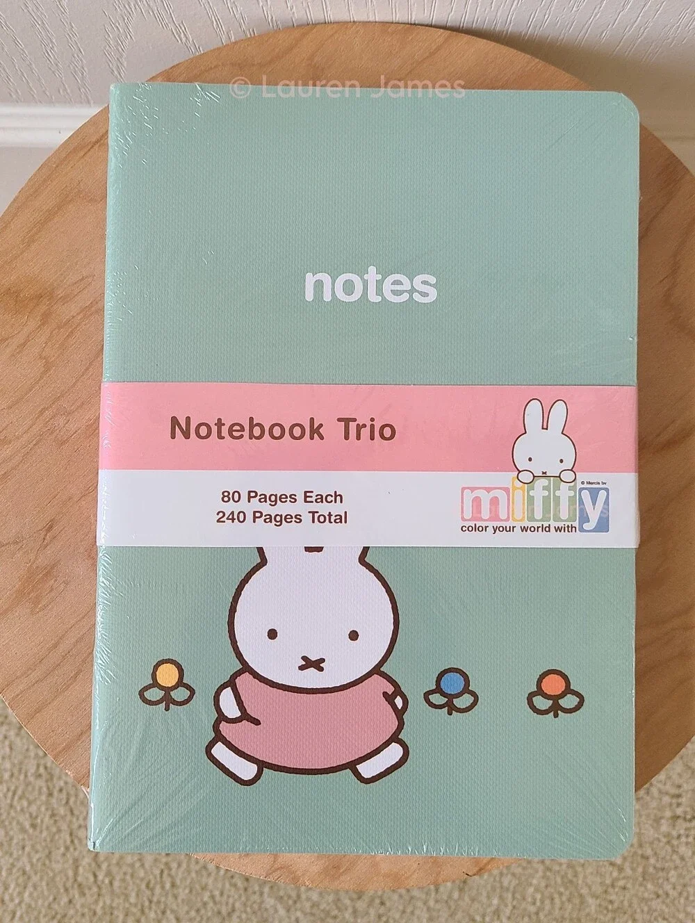 Miffy Blue and Green Notebook Set